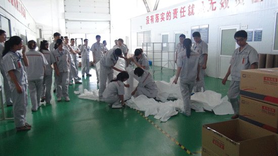 金力新能源