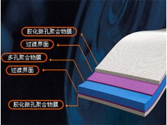 龍世紀(jì) 聚合物涂覆隔膜圖3