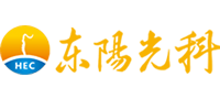 廣東東陽光科技控股股份有限公司