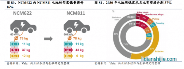 中國新能源汽車突飛猛進，供應(yīng)鏈跟得上嗎？