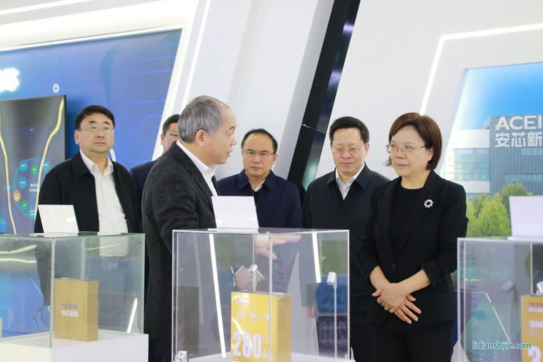 謝建輝帶隊赴桑頓新能源調研新能源產業(yè)