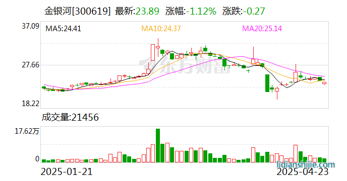 金銀河300619
